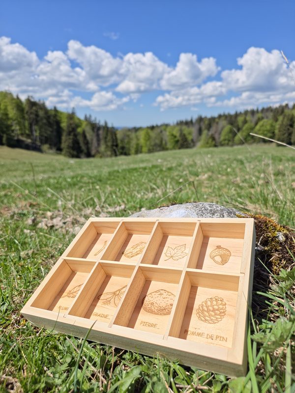Trésor de la Forêt en pleine montagne