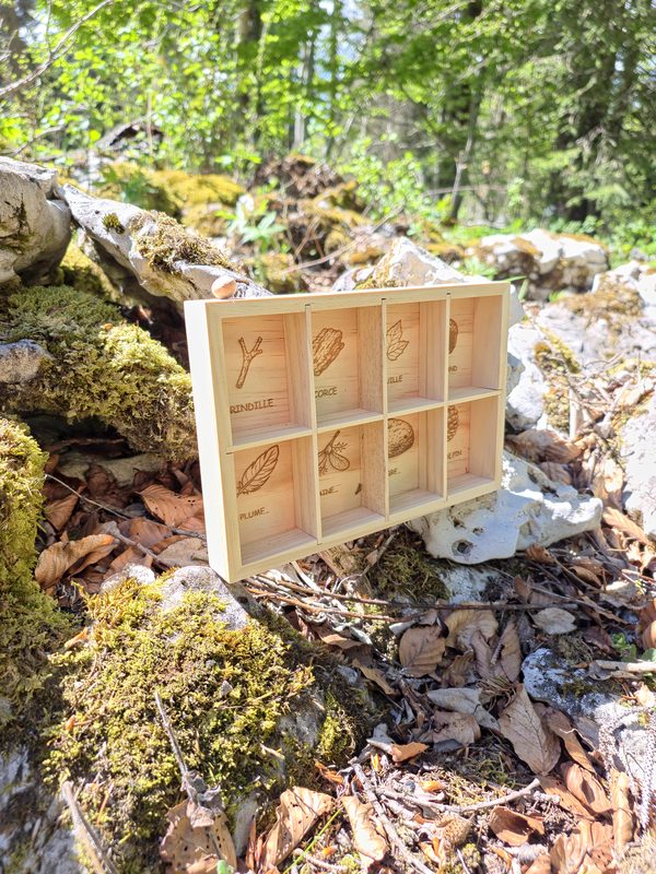 Boîte Trésor de la Forêt en sous-bois