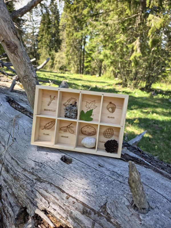 Détail des gravures Trésor de la Forêt