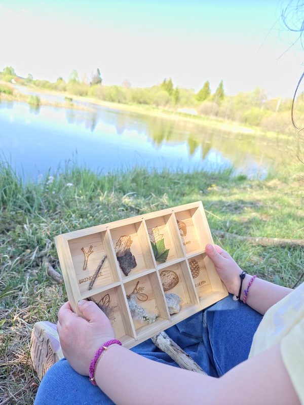 Boîte remplie de trésors trouvés dans la nature