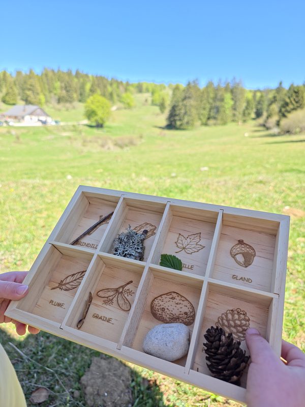 Trésor de la Forêt - perspective